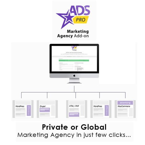 Ads-Pro-Add-on-WordPress-Marketing-Agency.jpg Ads Pro Add-on - WordPress Marketing Agency - Image 1