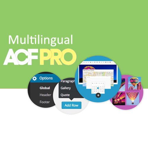 Advanced-Custom-Fields-Multilingual.jpg Advanced Custom Fields Multilingual - Image 1