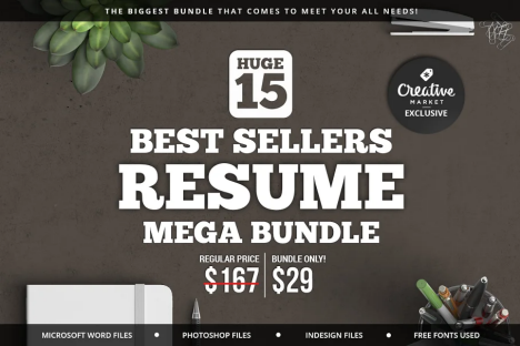 image.0-6-1.png Best Sellers Resume Mega Bundle - Image 1